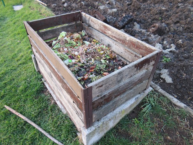 Podgane so eden od razlogov, zakaj v straniščno školjko ali odtok ne smemo metati ostankov hrane. Prav tako odvečna hrana ne sodi na vrtni kompost. FOTO: Plantella