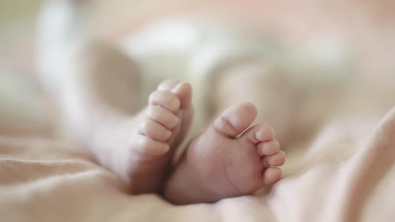 Fotografija: V ZDA so v letu 2019 zaradi zaužitja ploščate baterije življenje izgubili trije otroci. Gre za popolnoma nepotrebne smrti, saj so načeloma otroci pred zaužitjem take baterije popolnoma zdravi, je povedal izredni profesor na Medicinski fakulteti v Ljubljani Matjaž Homan. FOTO: Blaž Samec