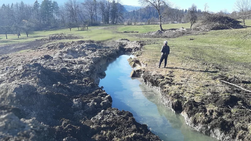 Fotografija: Z izgubo mokrišč izgubljamo pitno vodo, številne živali in rastline ter funkcije, ki jih mokrišča opravljajo. FOTO: Danilo Bertoncelj