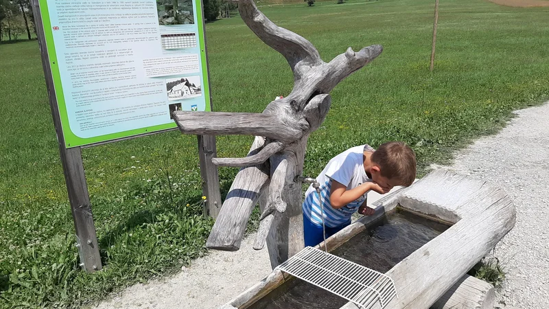 Fotografija: Preskrba s pitno vodo, ki jo utegnejo spremembe zakona o vodah, kot jih predlaga vlada, trajno ogroziti, v dva tabora ni razdelila le vlade in nevladnikov, temveč tudi politiko. FOTO: Janez Porenta/Delo