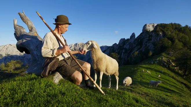 Robanov Joža Foto Tv Slo
