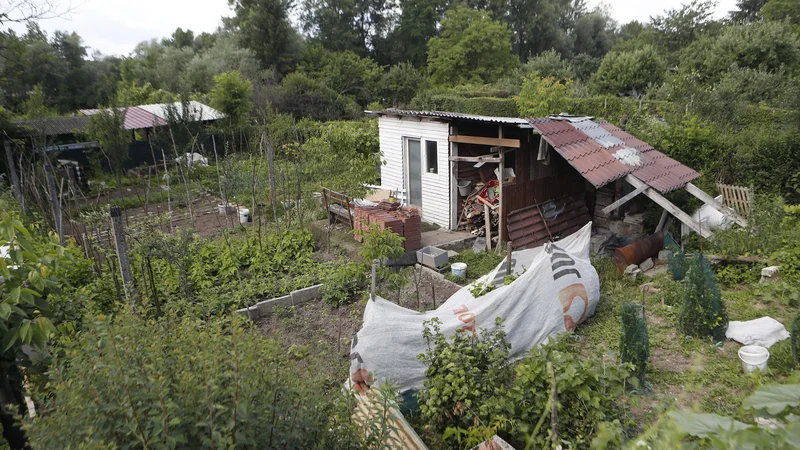 Fotografija: Med lepo obdelanimi vrtički so bila lani tudi skladišča različne šare.
FOTO: Leon Vidic/Delo