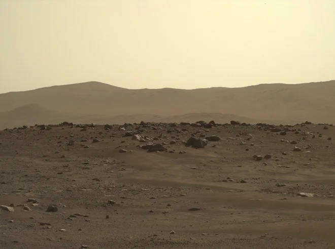Rover se ozira naokoli z razlogom, saj znanstveniki iščejo lokacije, kamor bodo napotili robotskega raziskovalca. FOTO: NASA/JPL-Caltech/ASU