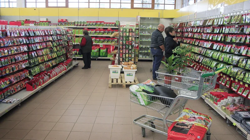 Fotografija: Najpomembnejša naloga ptujskega centra je opravljanje vzdrževalne selekcije za 83 sort vrtnin in poljščin, od teh je 59 sort lokalnih in šest ohranjevalnih, ki so širšega javnega pomena za Slovenijo. FOTO: Leon Vidic/Delo