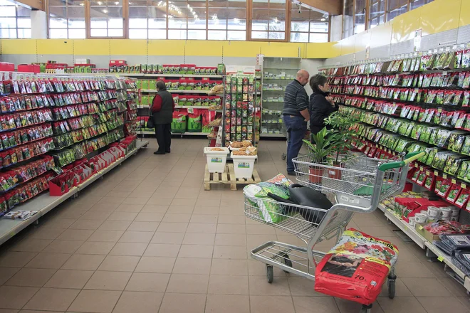 Najpomembnejša naloga ptujskega centra je opravljanje vzdrževalne selekcije za 83 sort vrtnin in poljščin, od teh je 59 sort lokalnih in šest ohranjevalnih, ki so širšega javnega pomena za Slovenijo. FOTO: Leon Vidic/Delo