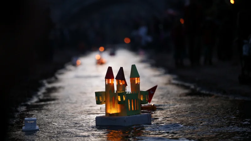 Fotografija: Gregorji včasih pozabijo na gregorčke. FOTO: Uroš Hočevar/Delo