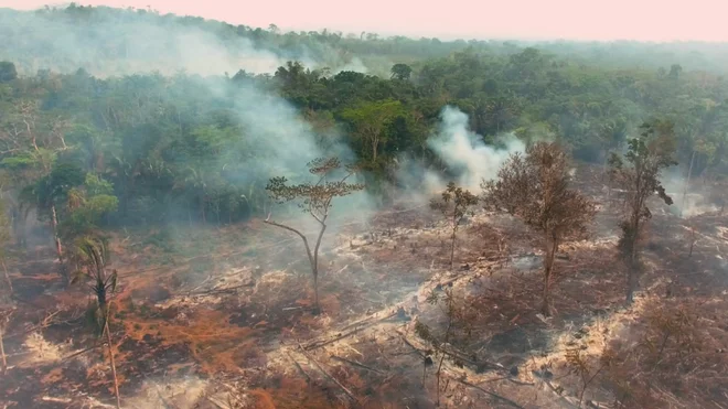 Rešite Amazonijo: deževni gozd gori Foto Tv Slo