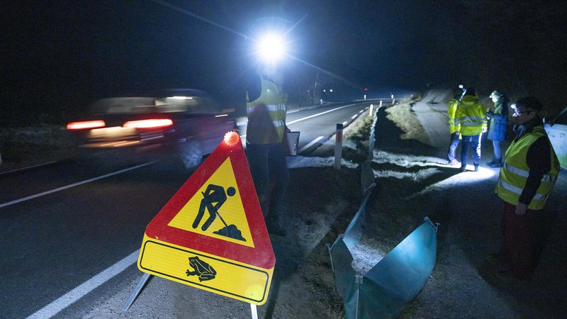 Fotografija: Kljub opozorilnemu znaku za delo na cesti z dodano ikono žabice so avtomobili mimo nas vozili kot na interventni vožnji. FOTO: Jože Suhadolnik