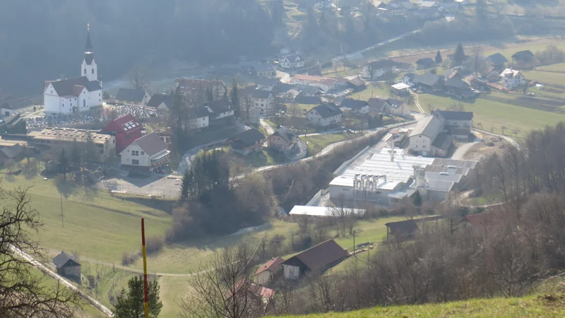 Fotografija: V okoljskem združenju Rovo so prepričani, da kogeneracija ne spada v urbano okolje Gabrovke. FOTO: Bojan Rajšek/Delo