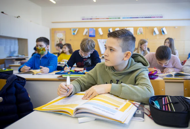 Poskusno nacionalno preverjanje znanja bo na daljavo iz računalniških učilnic. FOTO: Jože Suhadolnik/Delo