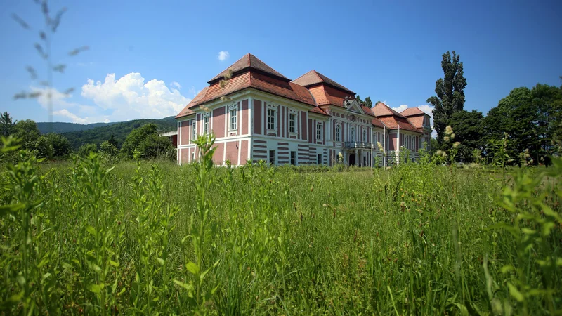 Fotografija: Prejšnji teden je postalo jasno, da sanacija dolga mariborske nadškofije še ni zaključena. FOTO: Tadej Regent/Delo