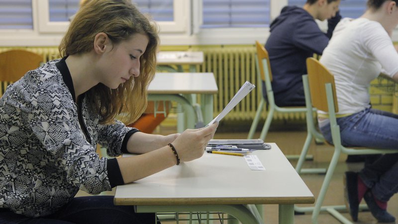 Fotografija: Ta teden šestošolci in devetošolci pišejo e-test, ki ne preverja znanja, a le sistem. Klasično nacionalno preverjanje znanja bo v začetku maja. FOTO: Leon Vidic/Delo