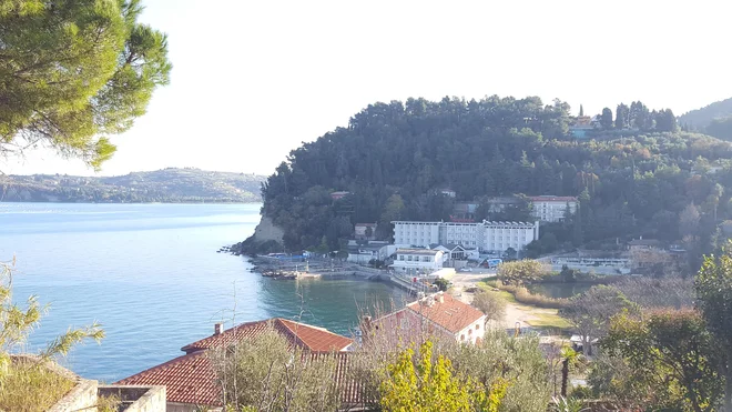 V hotelih Eurotas so zaposlene usposobili, da za zagon hotela potrebujejo tri do štiri dni. FOTO: Boris Šuligoj/Delo