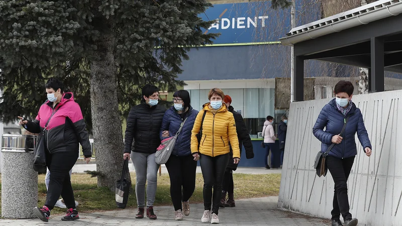 Fotografija: Adient v Slovenj Gradcu (na fotografiji) dokončno zapira vrta, za ormoški Safilo pa je menda še nekaj upanja. FOTO: Leon Vidic/Delo