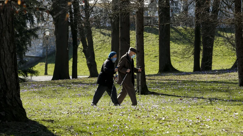 Fotografija: Številnim upokojencem bo zdaj lažje preživeti mesec. FOTO: Matej Družnik/Delo