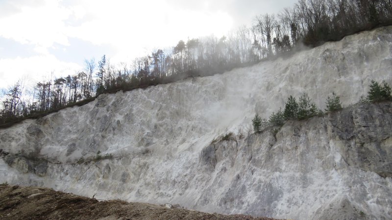 Fotografija: O ponovni oživitvi kamnoloma Brinjeva gora bodo nocoj razpravljali tudi zreški svetniki. Zreški SD zahteva takojšnjo ustavitev projekta in je proti ponovni oživitvi kamnoloma. FOTO: Špela Kuralt/Delo