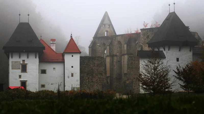 Fotografija: Žičko kartuzijo bi morali zastrešiti z lesenim dvokapnim ostrešjem, pokritim s škriljem, da bi zaščitili ohranjeno stavbno substanco, a je predvidena izvedba samo polovice strehe s strešino na južni strani. Foto Tadej Regent