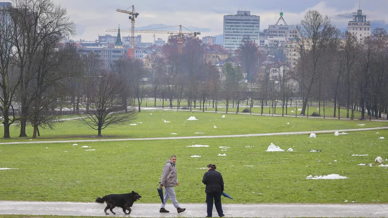 Fotografija: Naš mestni park je veliko bolj poln divjega življenja, kot si predstavljamo.
FOTO: Jože Suhadolnik
