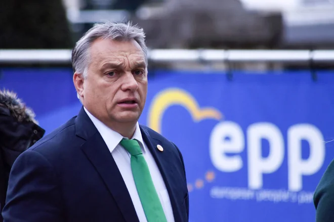 Madžarski premier Viktor Orbán je vodja stranke Fidesz. FOTO: Riccardo Pareggiani/AFP