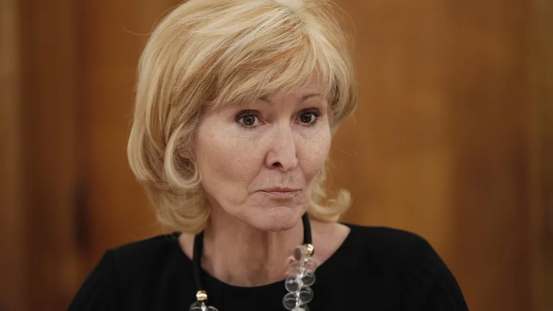 Podpora amandmaju bi rešila situacijo, meni Lilijana Kozlovič. FOTO: Jure Eržen/Delo