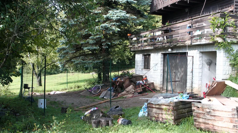 Fotografija: Pitbuli Mihe Šuma so napadli in raztrgali njegovo mamo, 71-letno Tatjano Šum. FOTO: Dejan Javornik/Slovenske novice