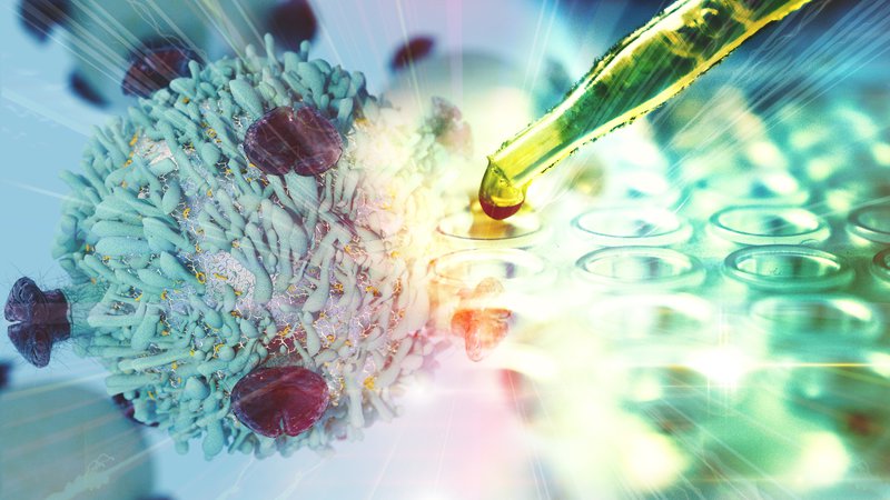 Fotografija: Limfociti T spadajo med glavne vojščake našega imunskega sistema. FOTO: Shutterstock