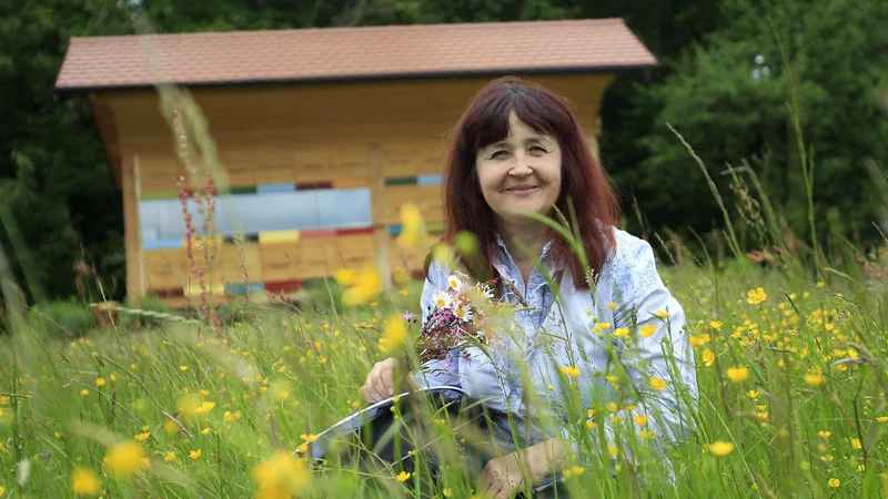 Fotografija: Zakonodaja v zvezi s čebelami že zdaj ni zadosti dobra; zakaj bi jo še poslabšali in rahljali že tako krhko vez z naravo, ki jo imamo, se sprašuje čebelarka in biologinja Andreja Stankovič. FOTO: Leon Vidic