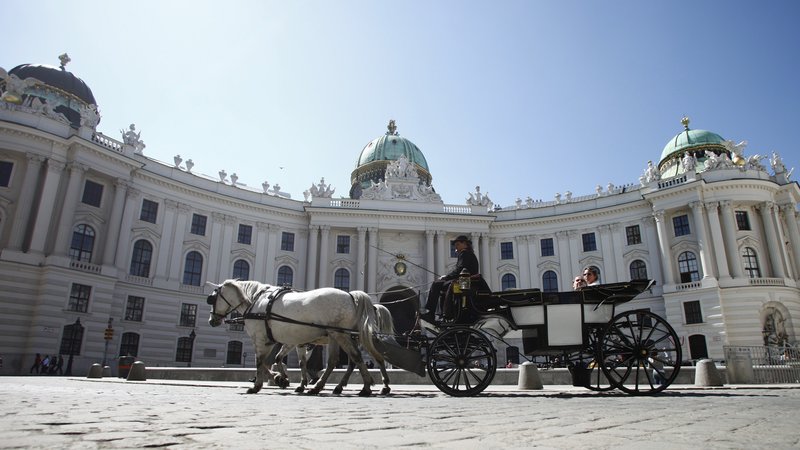 Fotografija: Zimsko palačo so gradili oziroma dograjevali več kot 600 let. Najstarejši ohranjeni zapisi o dvorcu Hofburg so iz 13. stoletja. Najnovejši trakt je bil zgrajen v začetku 20. stoletja, nekaj let pred prvo svetovno vojno. FOTO: Reuters
