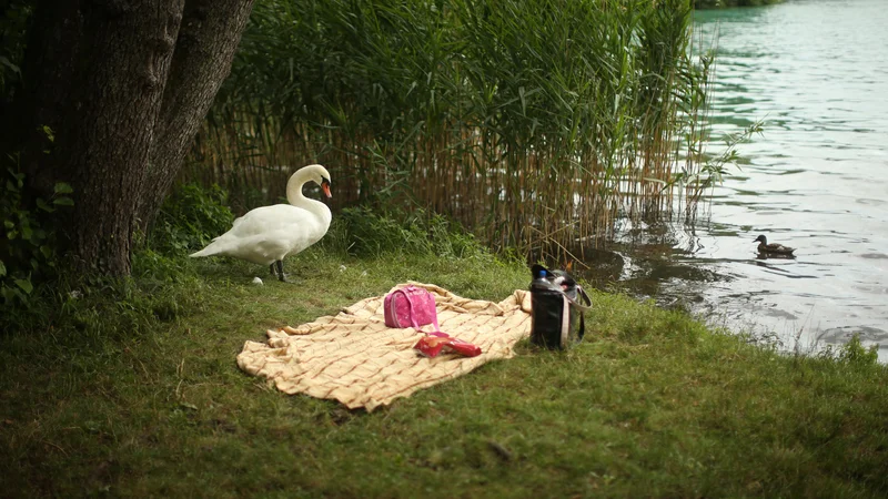 Fotografija: Skoraj pol naroda borcev za pravico do pitne vode svoje odplake iz kuhinj in stranišč izpušča v greznice, od tam pa v podtalnico, vir vode, ki smo jo zaščitili z ustavo. Foto Jure Eržen