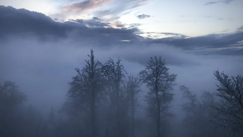 Fotografija: Zima očitno še ni rekla zadnje. FOTO: Jure Eržen/Delo