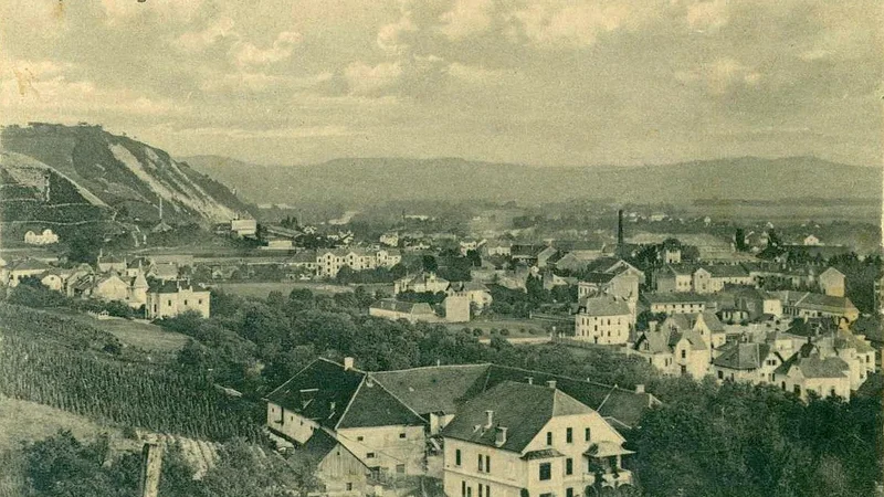 Fotografija: Bizaren fenomen hitlerizma v Mariboru ni bil omejen zgolj na nemško manjšino. FOTO Arhiv Dela