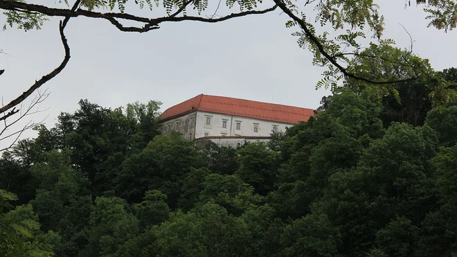 Muzej norosti Foto Tv Slo