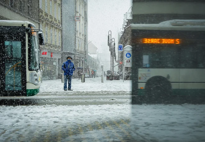 Aprilski sneg v Ljubljani. FOTO: Jože Suhadolnik