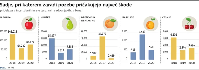 Pozeba. FOTO: Infografika/Delo