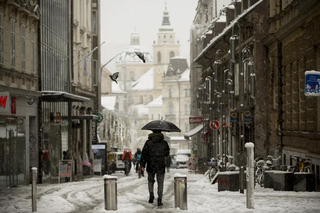 V Ljubljani je rekord preprečila megla oziroma nizka oblačnost v drugem delu noči. Kljub temu pa predstavlja izmerjena temperatura –4,4 najnižjo aprilsko, izmerjeno po letu 1956. FOTO: Jure Eržen/Delo