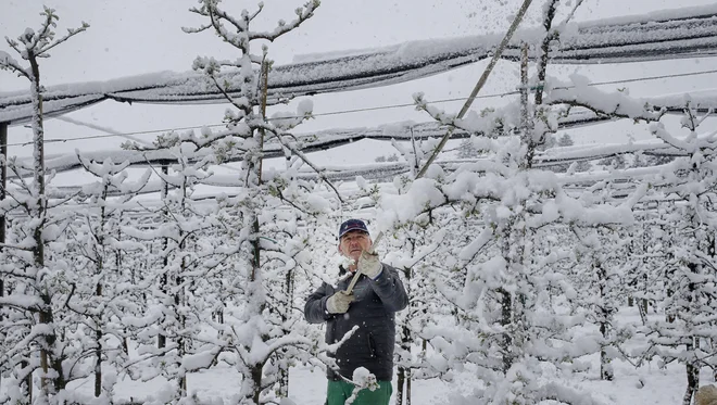 Prve ocene škode bodo pripravili do petka, končne šele v nekaj tednih. FOTO: BlaŽ Samec/Delo