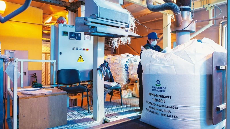 Fotografija: V sodobnem kmetijstvu je hektarski donos premo sorazmeren uporabi fosfatnih gnojil. FOTO: PhosAgro