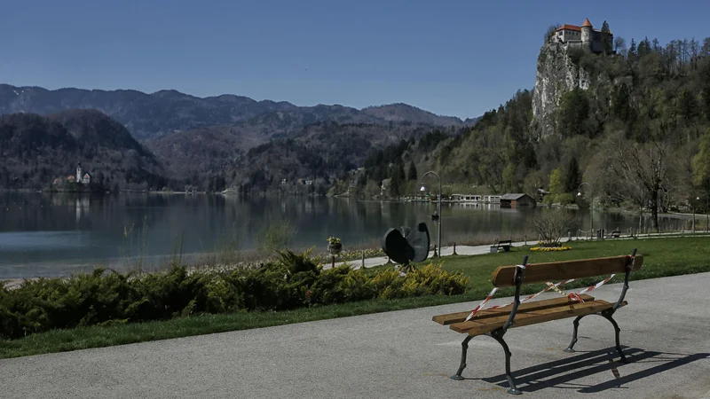 Fotografija: Skrajni čas je, da se sprejme odlok o gozdu s posebnim pomenom v občini Bled, ki je bil predlagan že leta 2011. Foto Blaž Samec/Delo