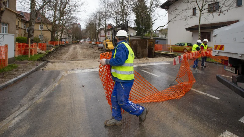 Fotografija: Ob prenovi ulice Bežigrad bo drevored ostal nedotaknjen, zatrjujejo na občini. FOTO: Matej Družnik/Delo