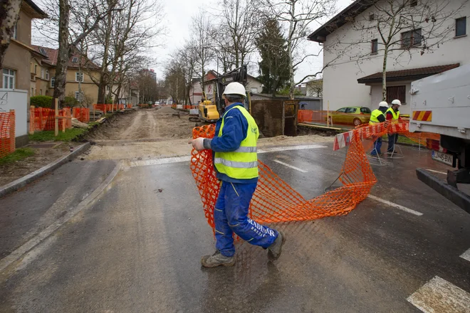 Ob prenovi ulice Bežigrad bo drevored ostal nedotaknjen, zatrjujejo na občini. FOTO: Matej Družnik/Delo