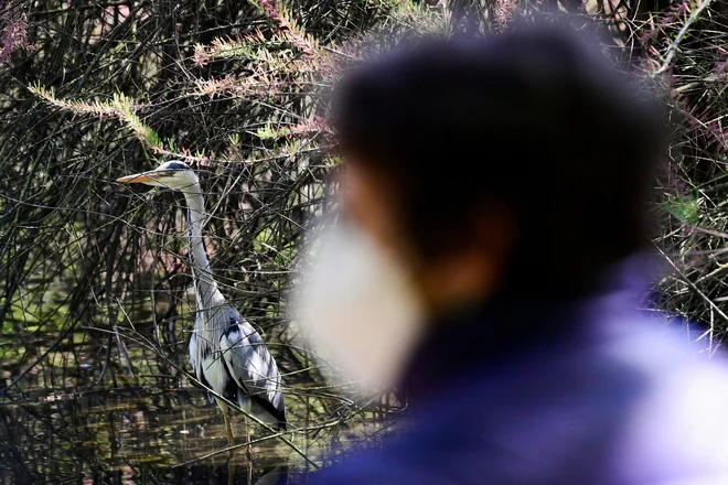 Evropska komisija je sredi marca predlagala zakonodajo za uvedbo covidnega potrdila, ki naj bi državljanom EU olajšalo potovanja to poletje. FOTO: Flavio Lo Scalzo/Reuters