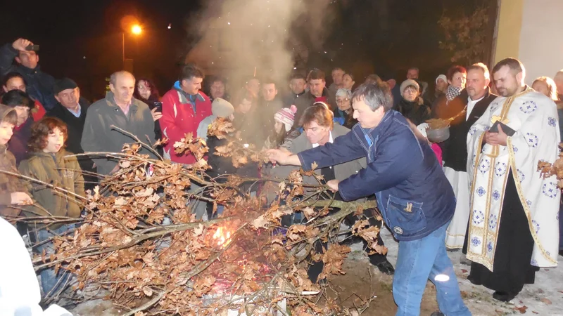 Fotografija: Željka Lubardo so premeščali, čeprav za to ni obstajal objektivno utemeljen razlog. FOTO: Milan Glavonjić