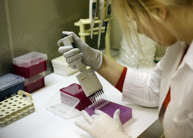 Znanost tako kot čokolado uživamo v mnogoterih oblikah. FOTO: Blaž Samec/Delo