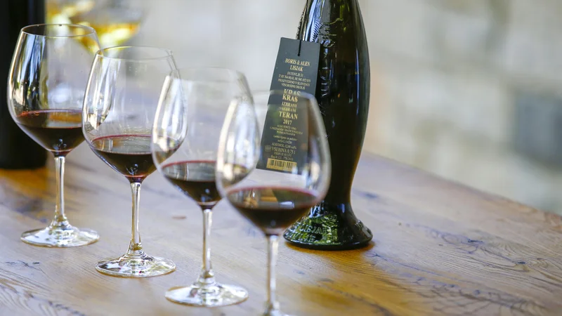 Fotografija: Združenje želi okrepiti krovno promocijo slovenskega vinogradništva in vinarstva. FOTO: Matej Družnik/Delo