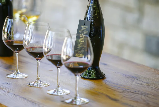 Združenje želi okrepiti krovno promocijo slovenskega vinogradništva in&nbsp;vinarstva. FOTO: Matej Družnik/Delo