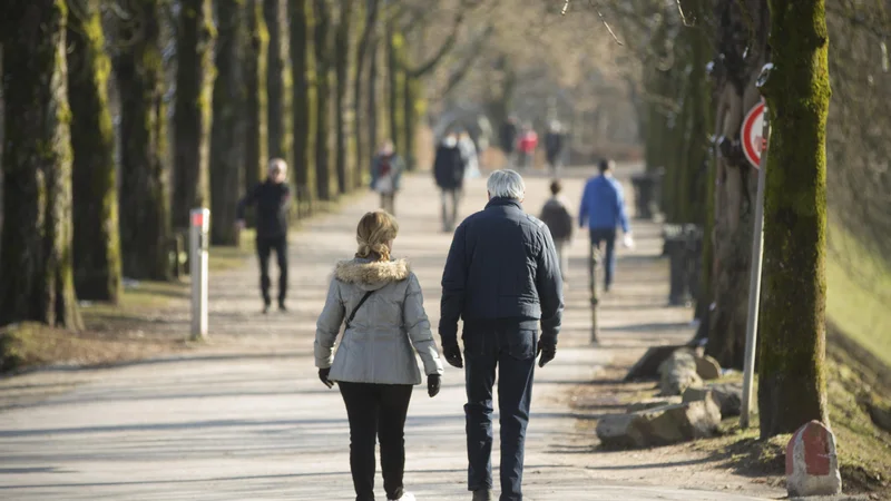 Fotografija: Zagovorniki uvedbe socialne kapice so prepričani, da bo država s tem zadžala najboljše kadre, nasprotniki pa opozarjajo na posledice, ki jih bo imela za zdravstveno in pokojninsko blagajno. FOTO: Jure Eržen/delo