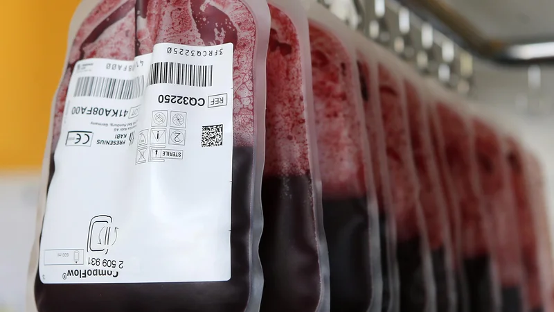 Fotografija: V Sloveniji ima po uradnih podatkih hemofilijo 229 ljudi; v svetu jih živi s hudo obliko bolezni 418.000, vseh hemofilikov je okrog 1,125 milijona. FOTO: Aleš Černivec