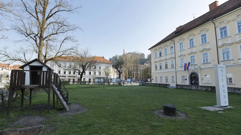 Fotografija: Park pred Gruberjevo palačo in nad garažo naj bi ostal bolj ali manj nespremenjen. FOTO: Jože Suhadolnik/Delo