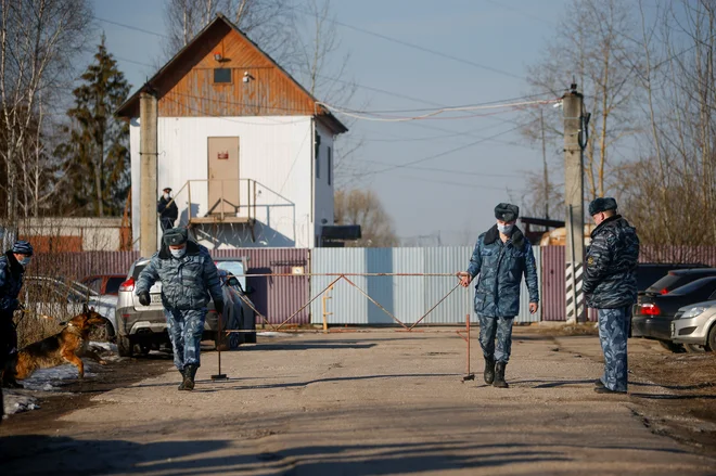 Opozicijski voditelj v kazenski koloniji Pokrov v Vladimirski oblasti okoli sto kilometrov vzhodno od Moskve prestaja zaporno kazen dveh let in pol, ki ga je doletela v povezavi s starimi obtožbami goljufije. FOTO: Maxim Shemetov/Reuters