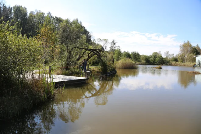 Naravni park Visoko šotno barje Schremsa se razteza čez 107 hektarov. FOTO: Milan Ilić